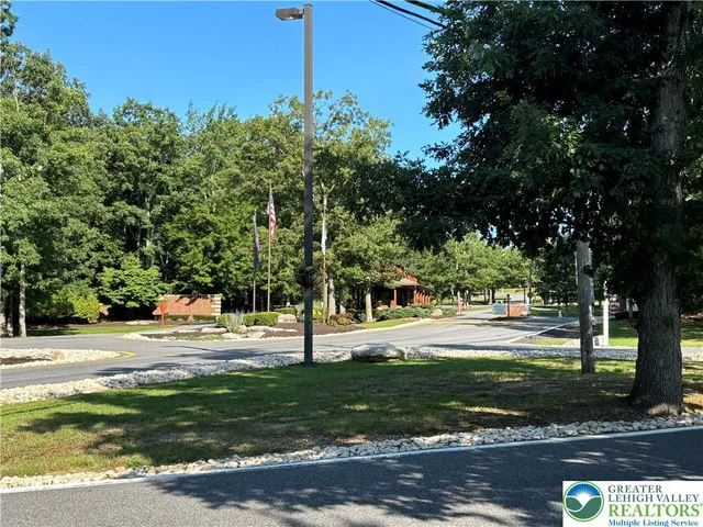 a view of a yard with plants and trees