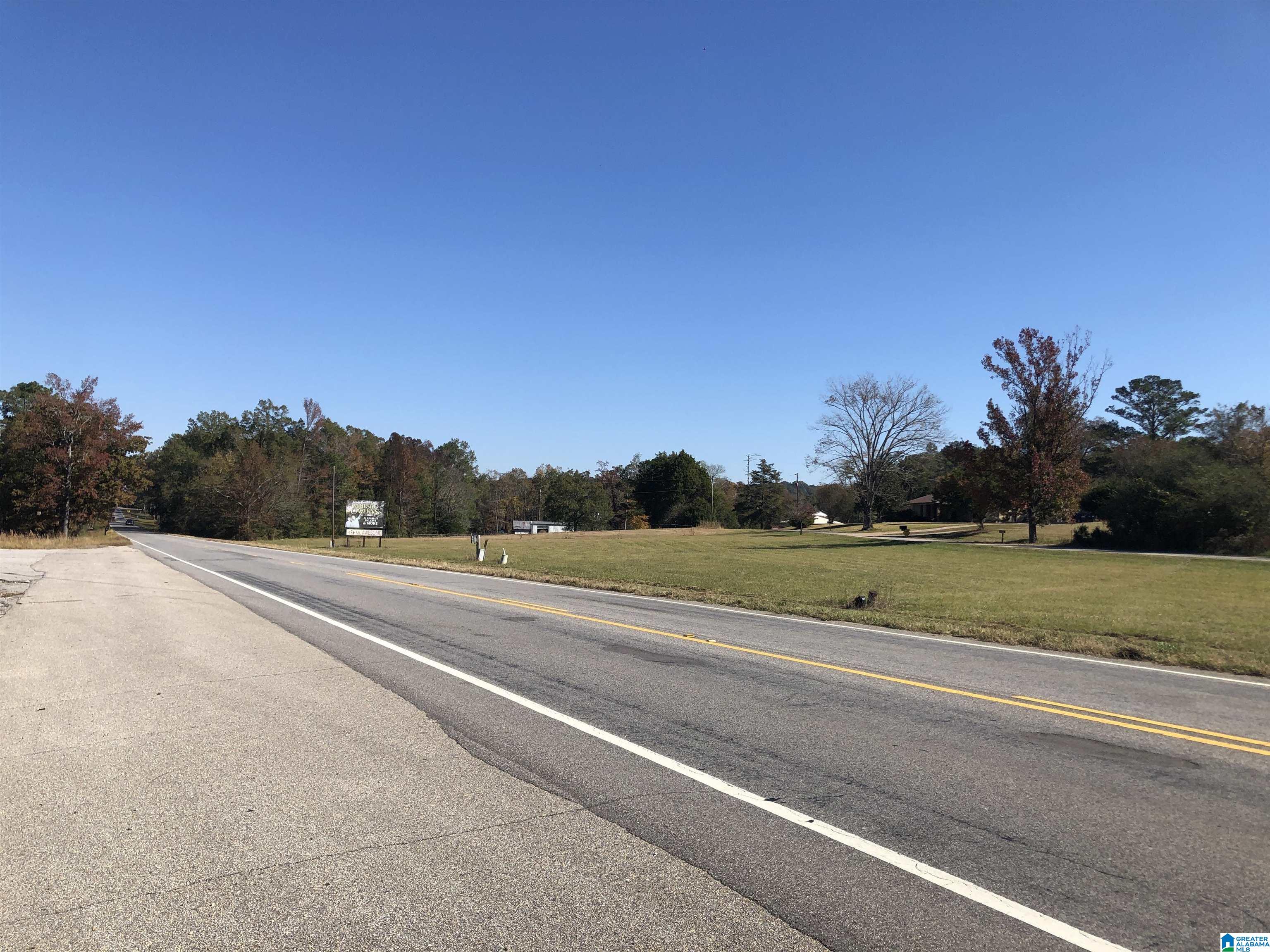 0 County Road 453, Unit 1 Clanton, AL 35046 - Photo 4 of 4