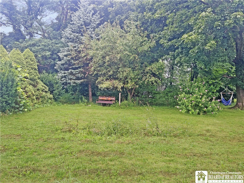 1146 Cassadaga Road Villenova, NY 14138 - Photo 4 of 18