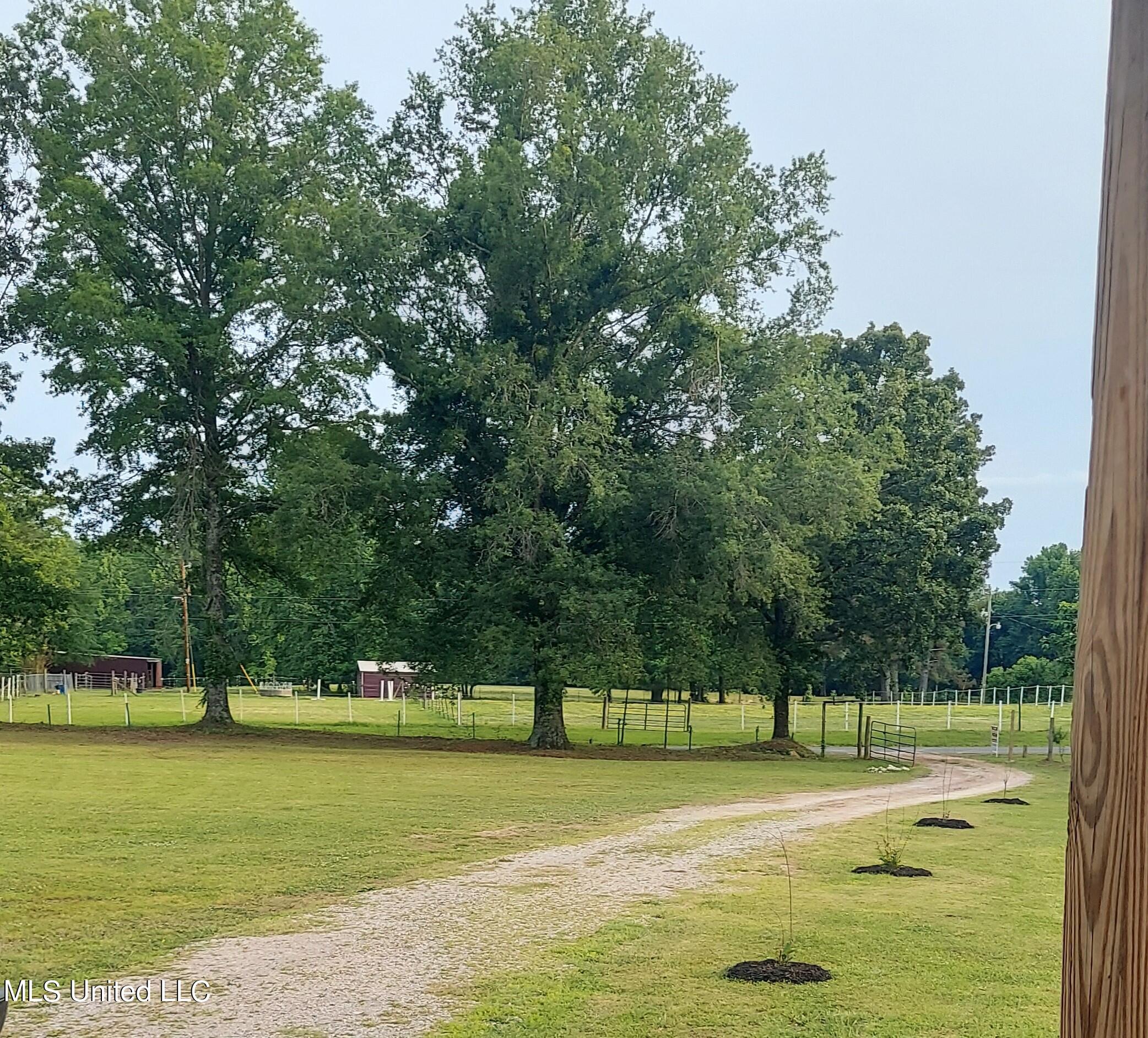 465 Marcon Farm Road Byhalia, MS 38611 - Photo 3 of 16 New Front 2