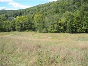 1 Starbuck Road Pomfret, VT 05084 - Photo 8 of 21