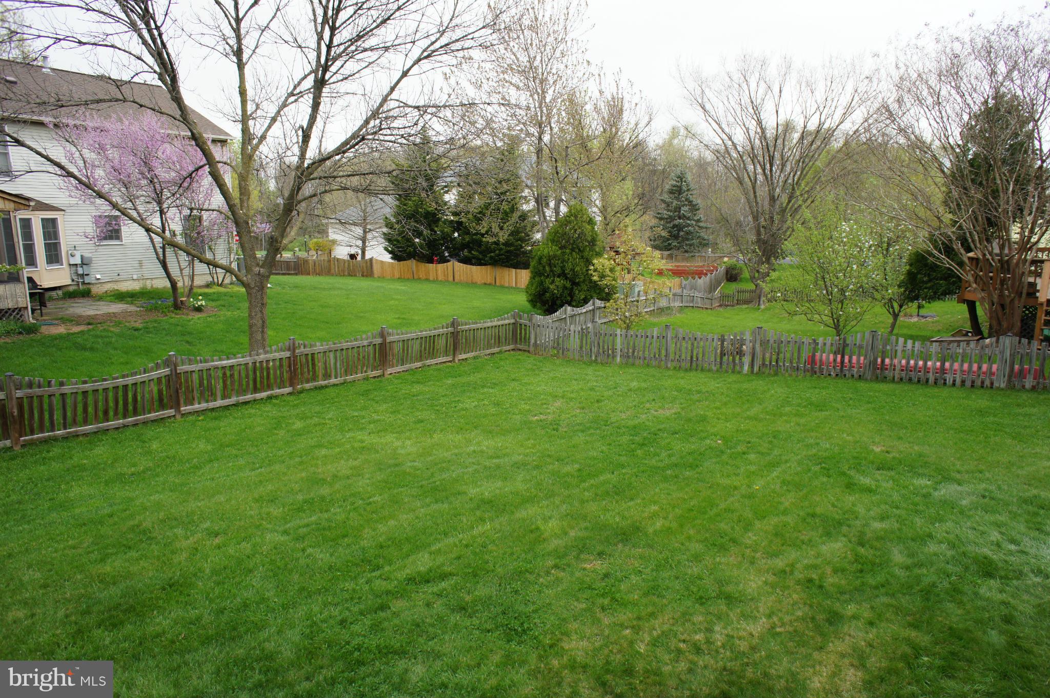 1923 Beech Road Sterling, VA 20164 - Photo 27 of 27 Backyard View