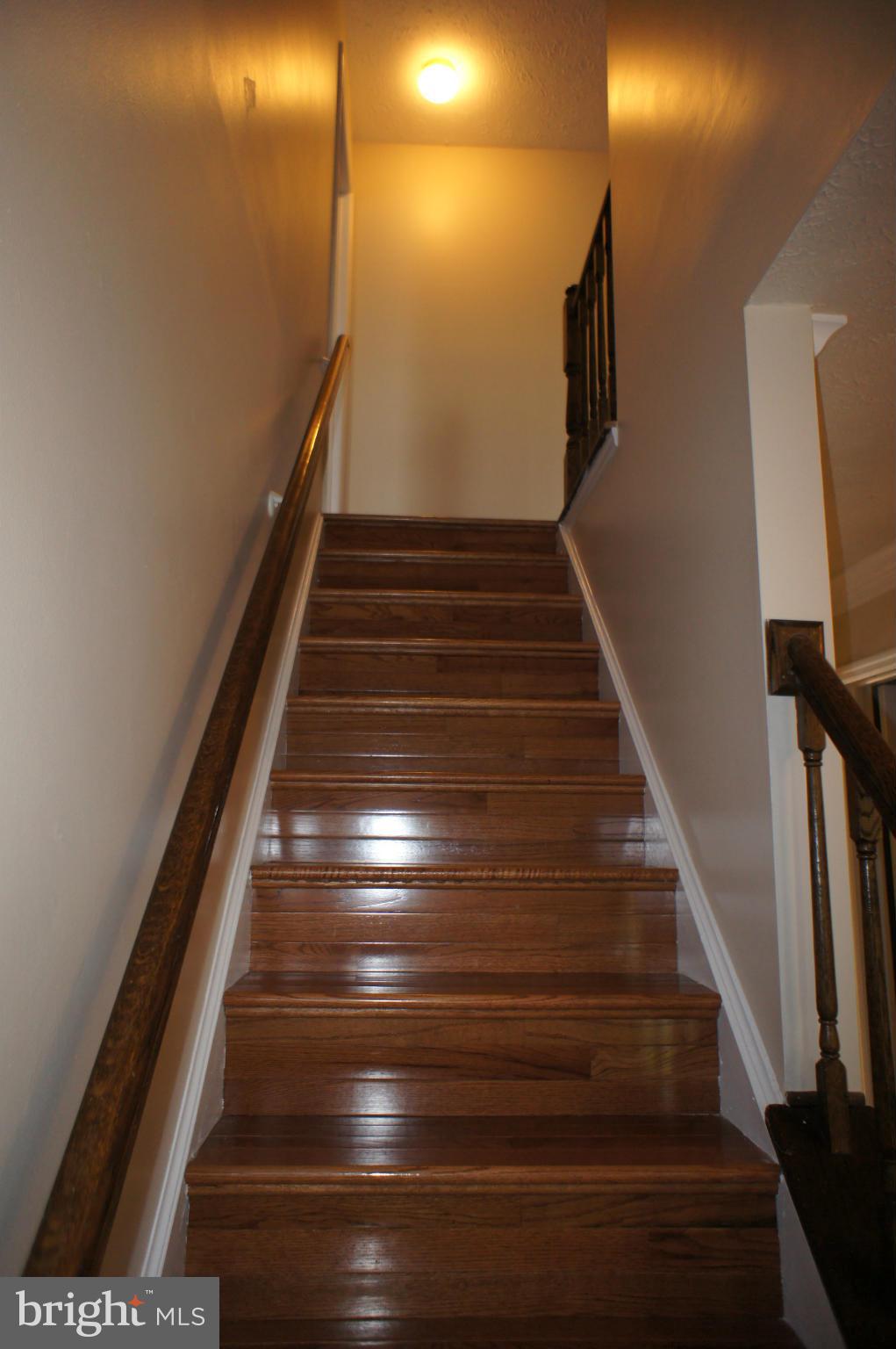 1923 Beech Road Sterling, VA 20164 - Photo 10 of 27 Stairs Up