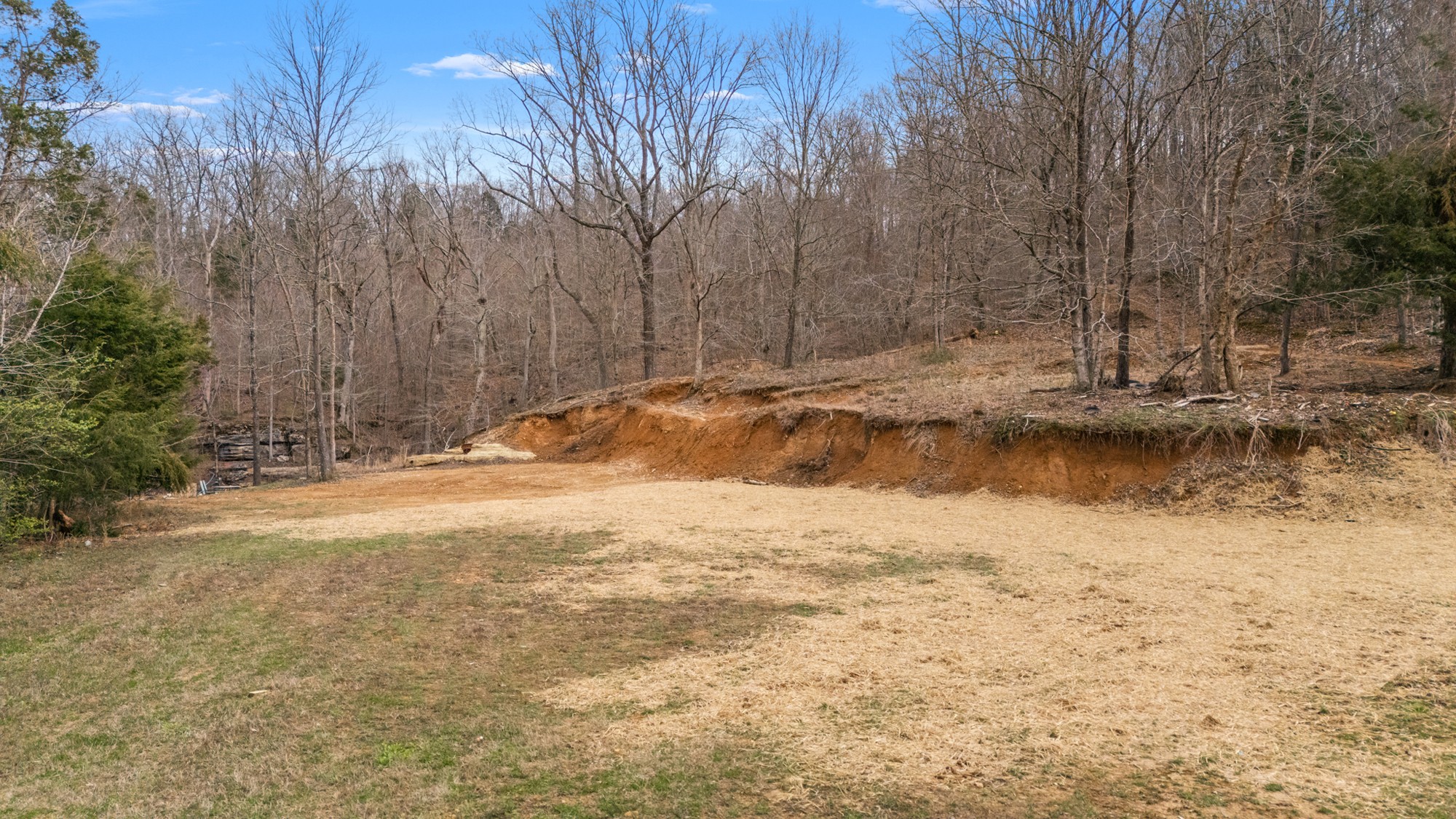 640 Lindsey Hollow Road Gallatin, TN 37066 - Photo 47 of 88