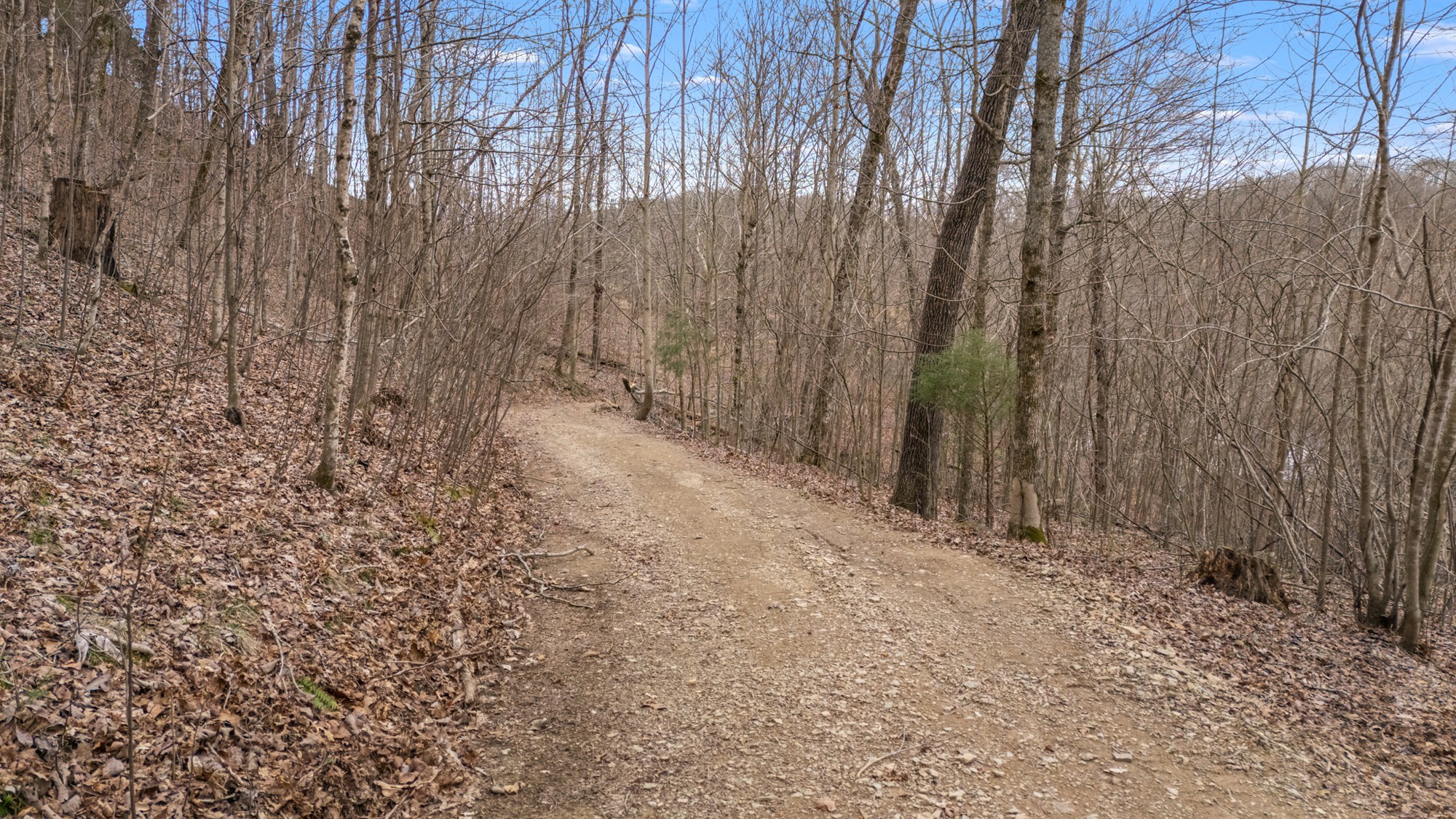 640 Lindsey Hollow Road Gallatin, TN 37066 - Photo 72 of 88