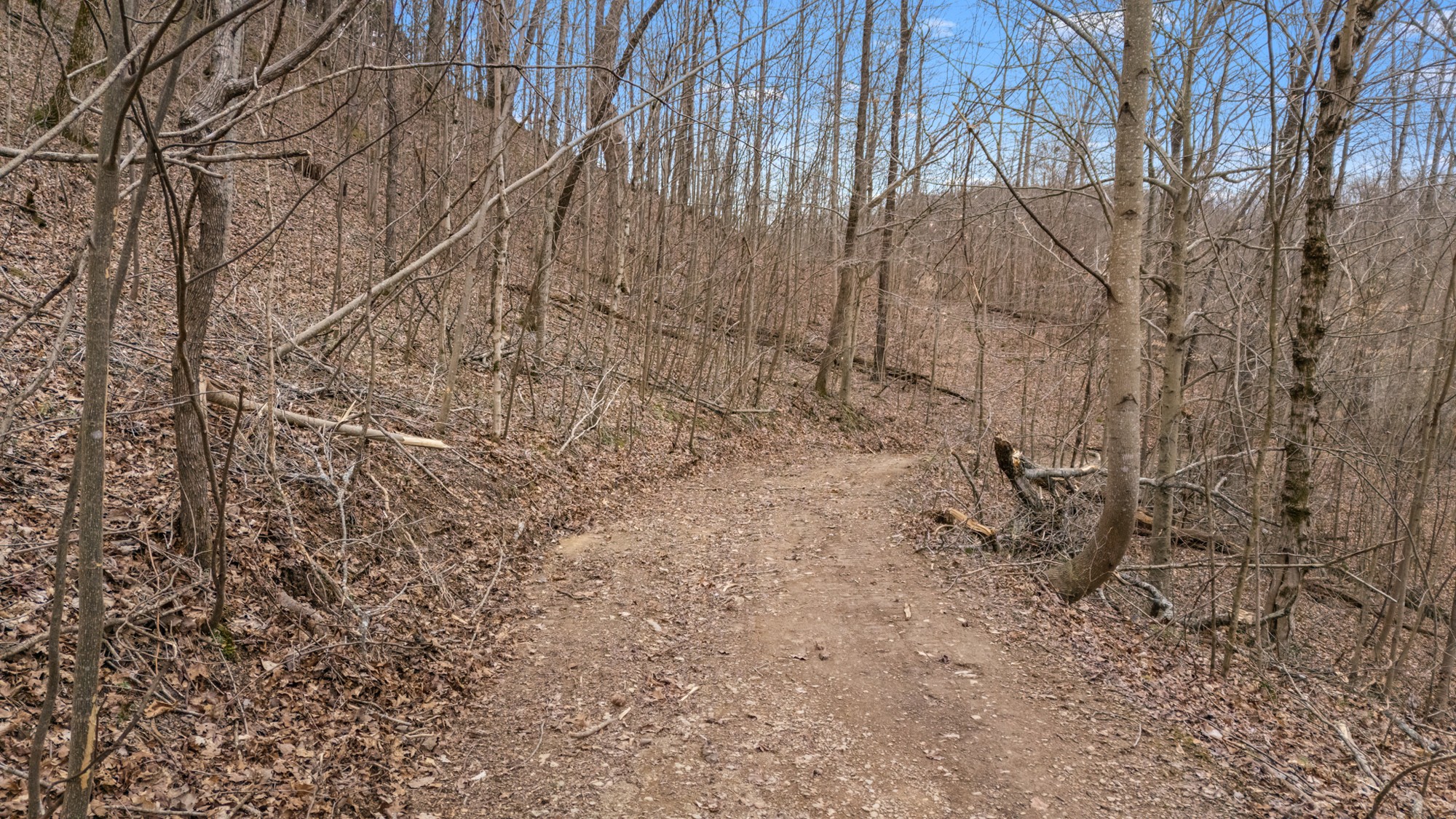640 Lindsey Hollow Road Gallatin, TN 37066 - Photo 73 of 88