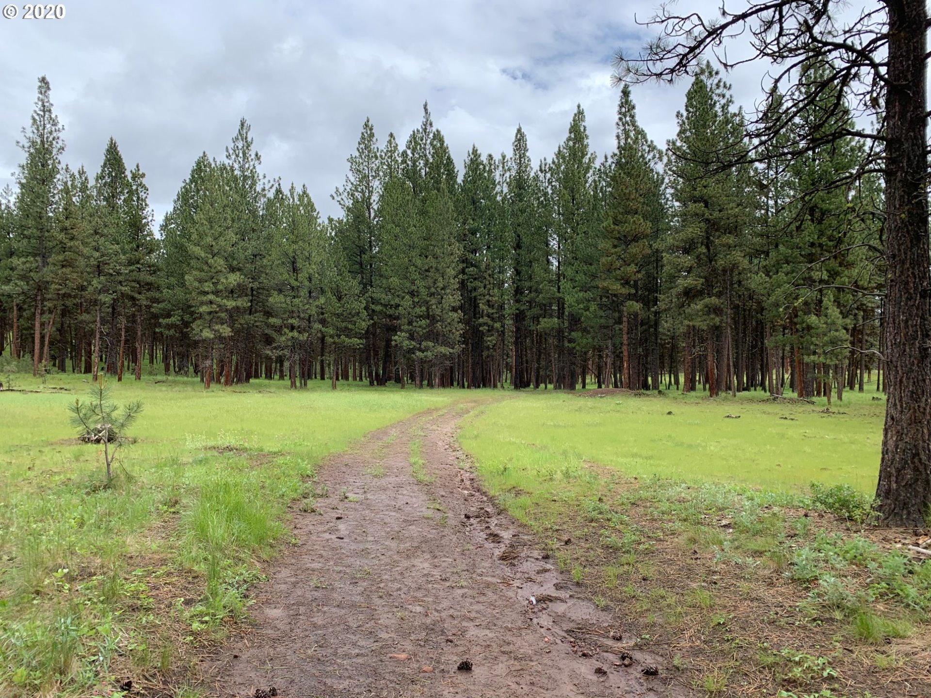 0 Nf140 Road, Unit 400 Enterprise, OR 97828 - Photo 1 of 9 Gallery Image 1