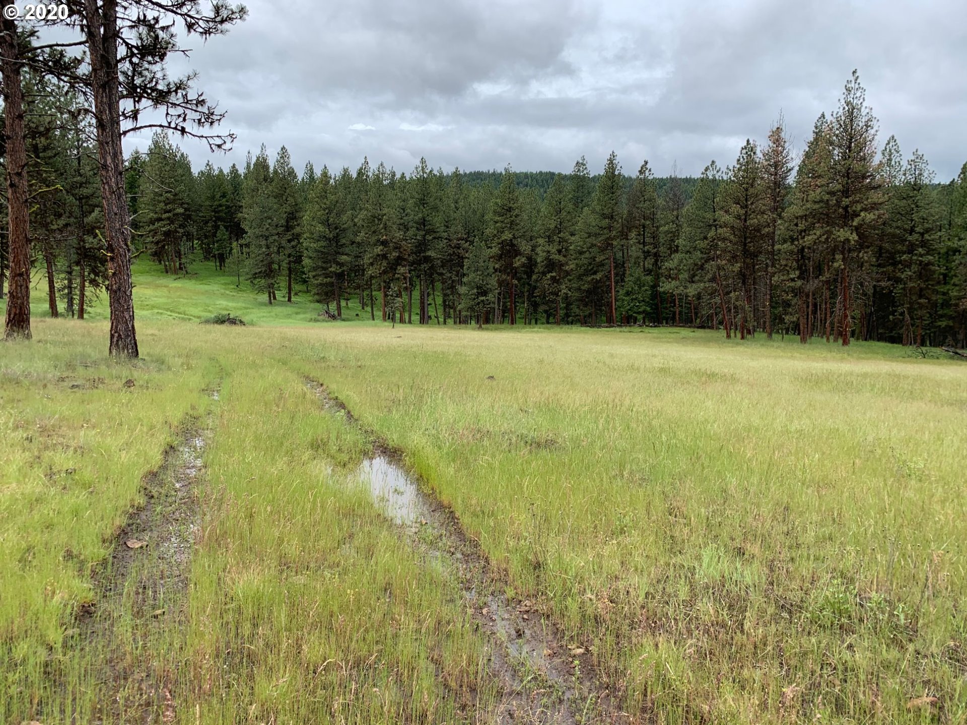 0 Nf140 Road, Unit 400 Enterprise, OR 97828 - Photo 2 of 9 Gallery Image 2