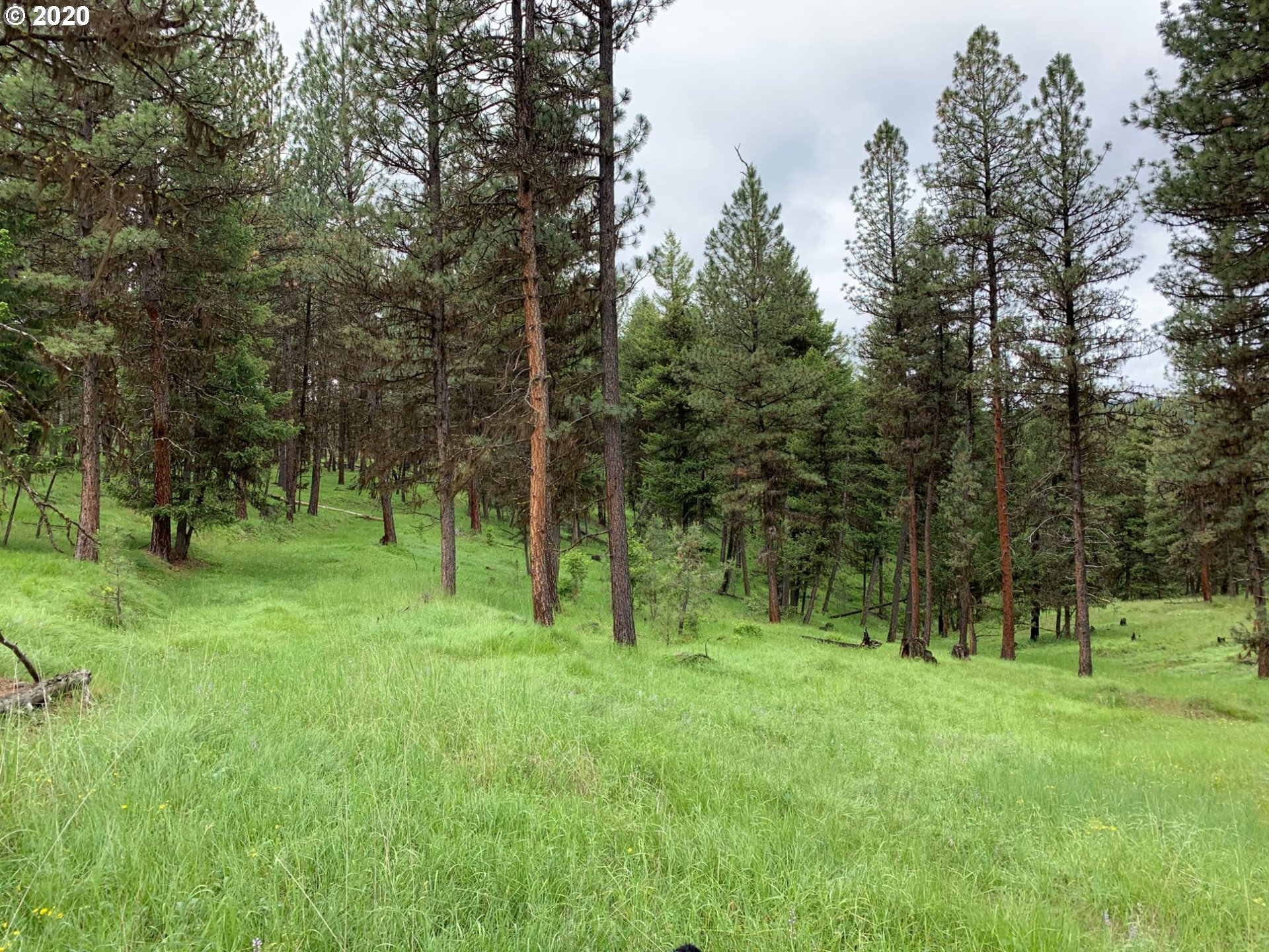 0 Nf140 Road, Unit 400 Enterprise, OR 97828 - Photo 3 of 9 Gallery Image 3