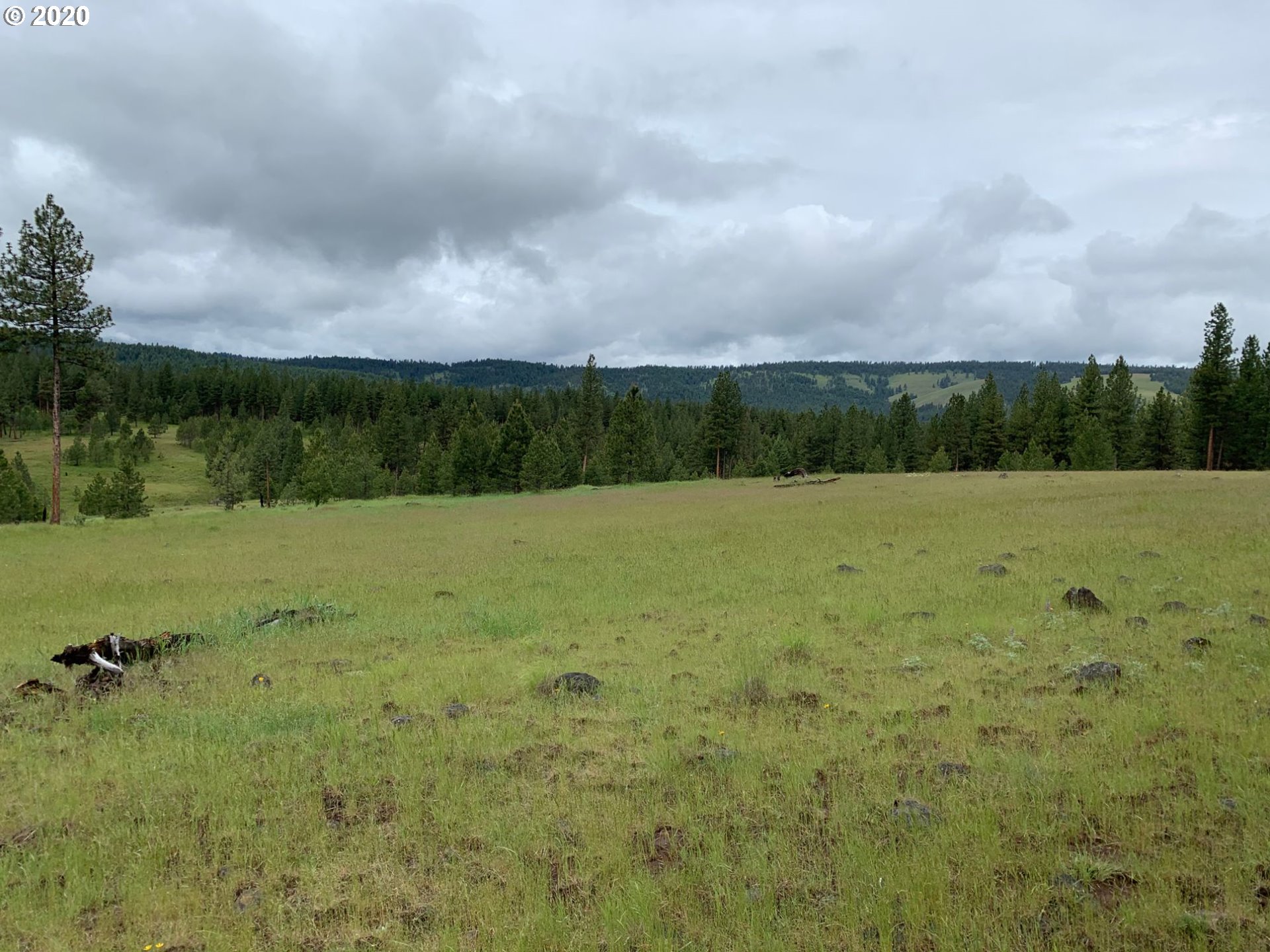 0 Nf140 Road, Unit 400 Enterprise, OR 97828 - Photo 4 of 9 Gallery Image 4