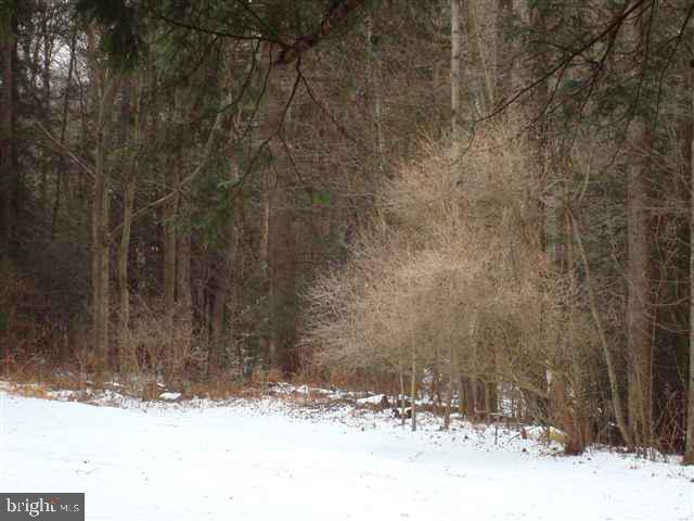 140 Montebello Road Duncannon, PA 17020 - Photo 22 of 25 Gallery Image 22