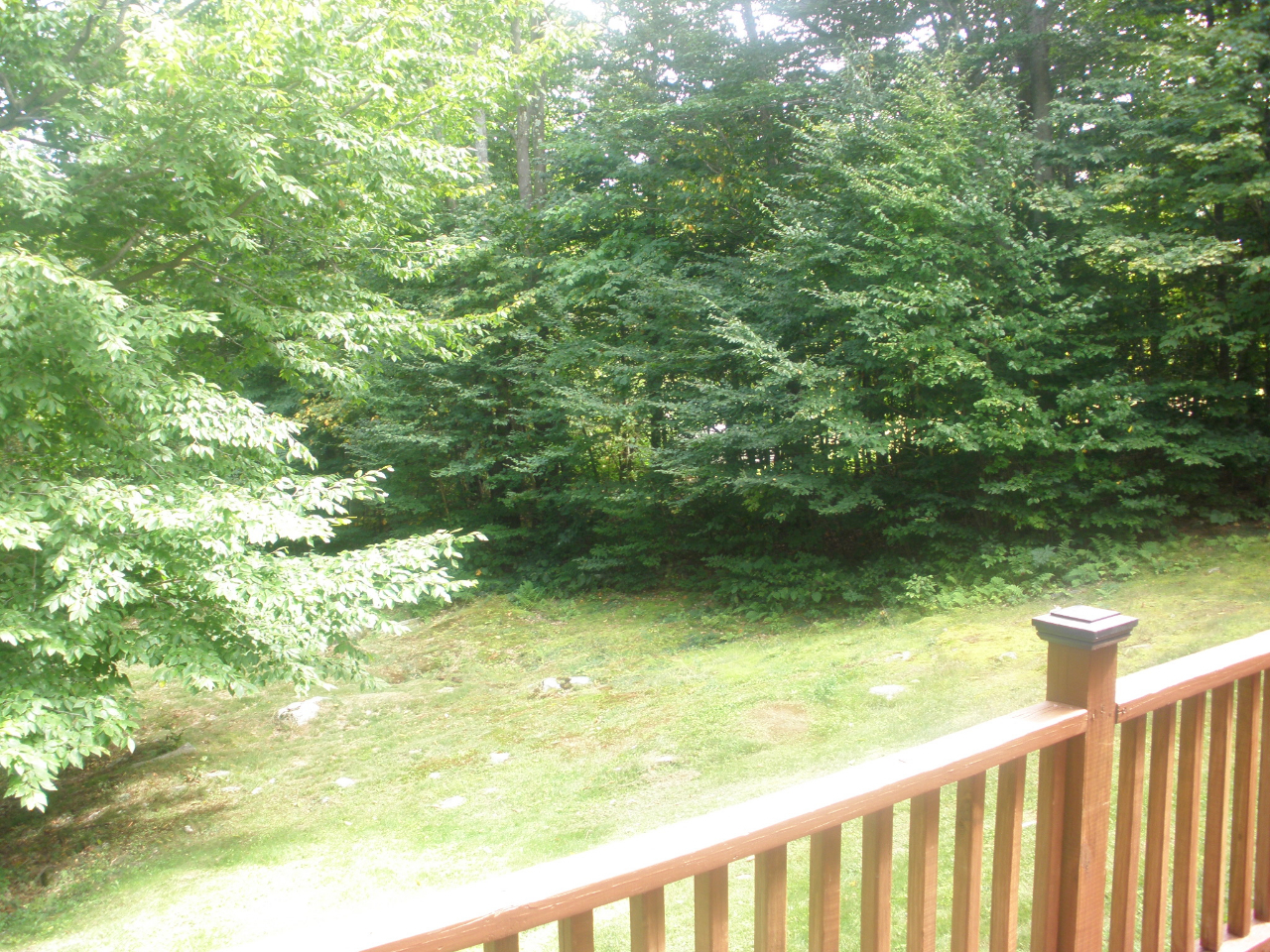 159 Central Shaft Road Florida, MA 01247 - Photo 14 of 16 a view of balcony with a green space