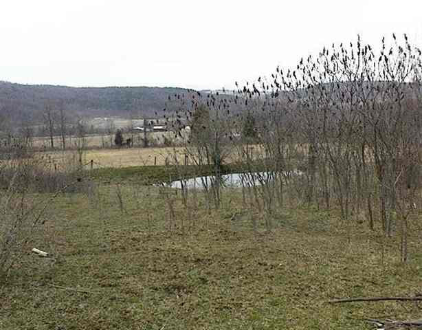 120 County Rt 354 Rensselaerville, NY 12147 - Photo 3 of 3 Photo 3