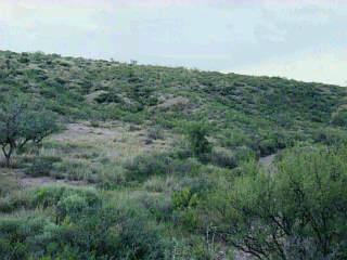 0 East Hilton Ranch Road Tucson, AZ 85747 - Photo 5 of 5
