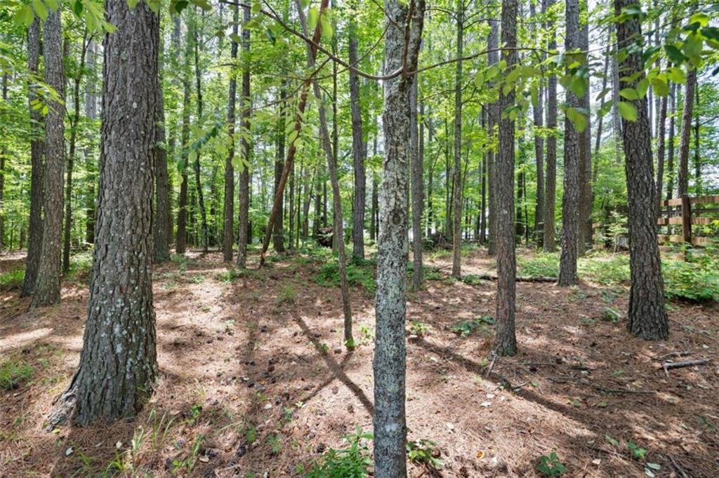 70 Moonlit Trail Dallas, GA 30132 - Photo 33 of 34