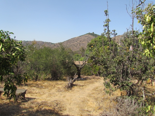 9201 Old Castle Road Valley Center, CA 92082 - Photo 9 of 23 Gallery Image 9