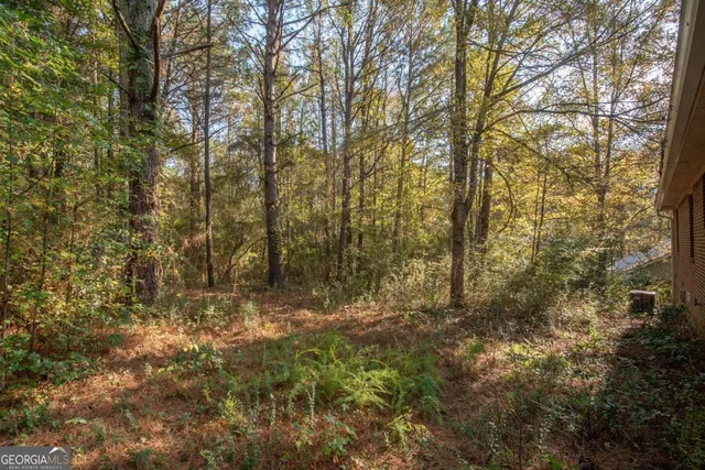 a view of natural light