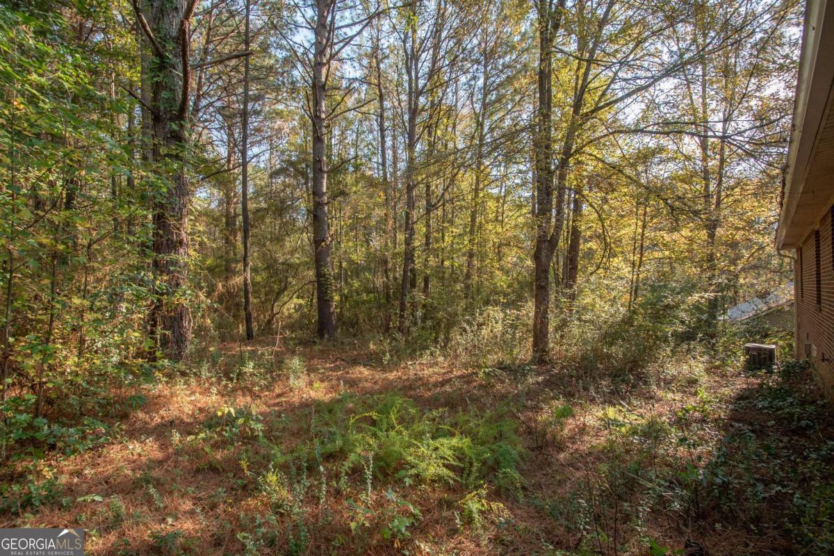 1104 Alverson Road LaGrange, GA 30241 - Photo 24 of 25 a view of outdoor space and a yard