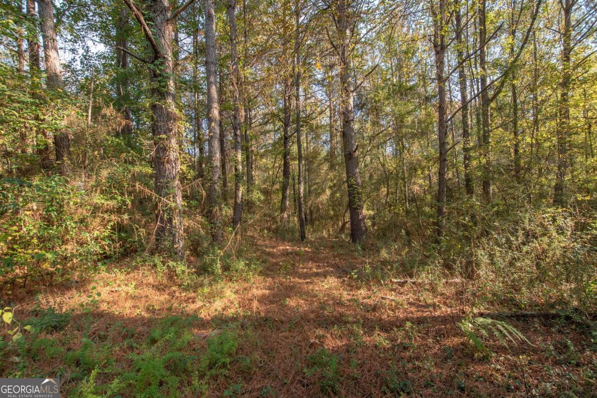 1104 Alverson Road LaGrange, GA 30241 - Photo 25 of 25 a view of natural light