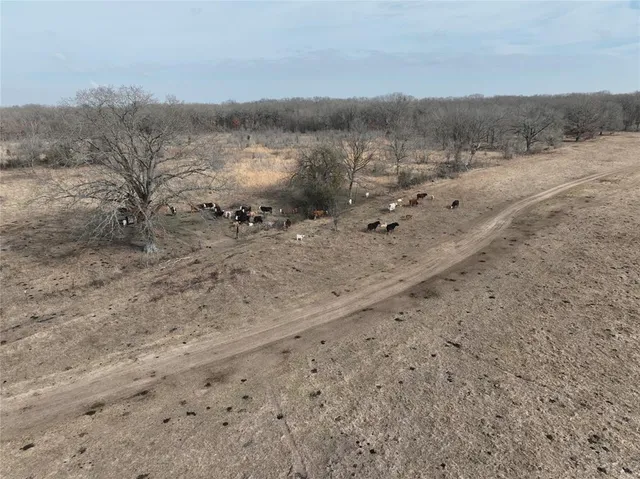 $399,000 | 4905 County Road 1412, Bogata, TX 75417