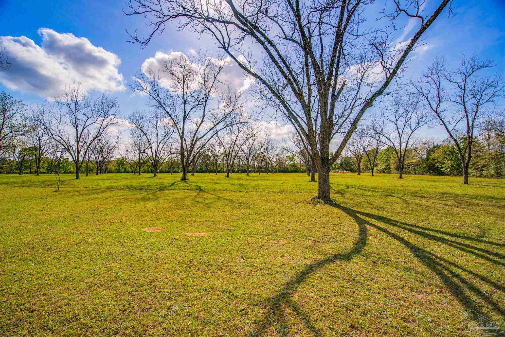 11470 Bryant Bridge Road Holt, FL 32564 - Photo 39 of 50