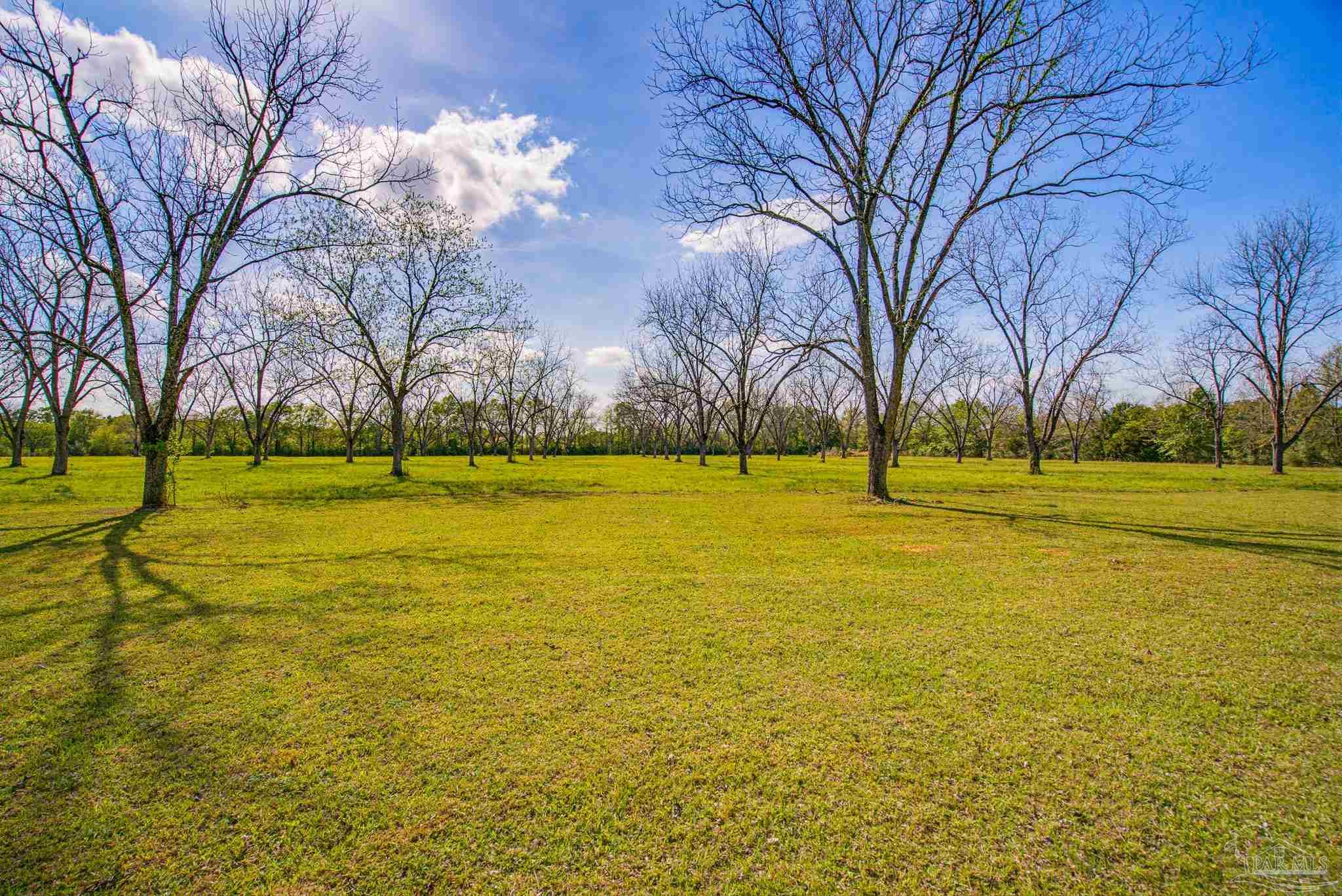 11470 Bryant Bridge Road Holt, FL 32564 - Photo 41 of 50