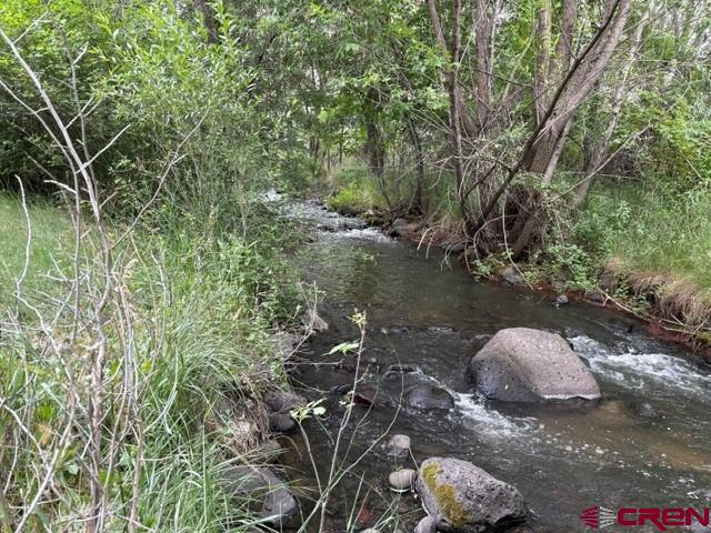 405 Southeast 2nd Street Cedaredge, CO 81413 - Photo 7 of 28