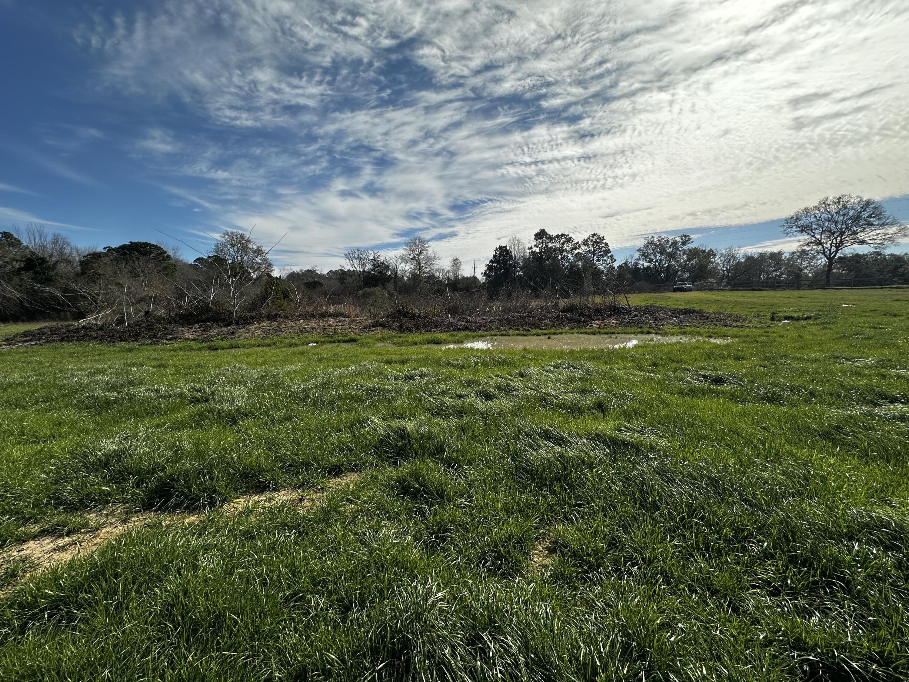 A & B Charlie Day Road Baker, FL 32531 - Photo 12 of 13 a view of an outdoor space and a yard