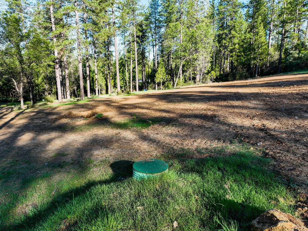 13279 Thoroughbred Loop Grass Valley, CA 95949 - Photo 12 of 33 a view of outdoor space with deck and trees