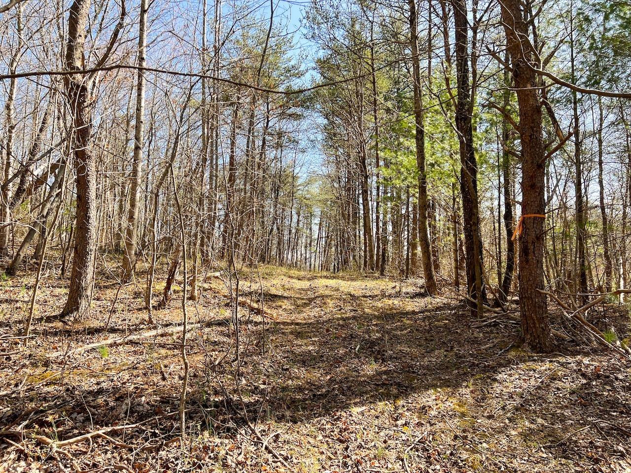 0 Brammer Spur Road Woolwine, VA 24185 - Photo 25 of 39 Gallery Image 25