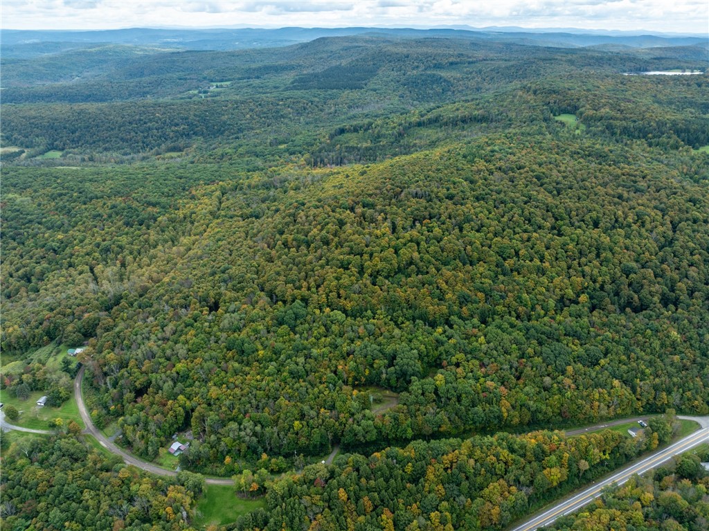 144 Joe Chamberlain Road Roseboom, NY 13320 - Photo 19 of 20 Gallery Image 19