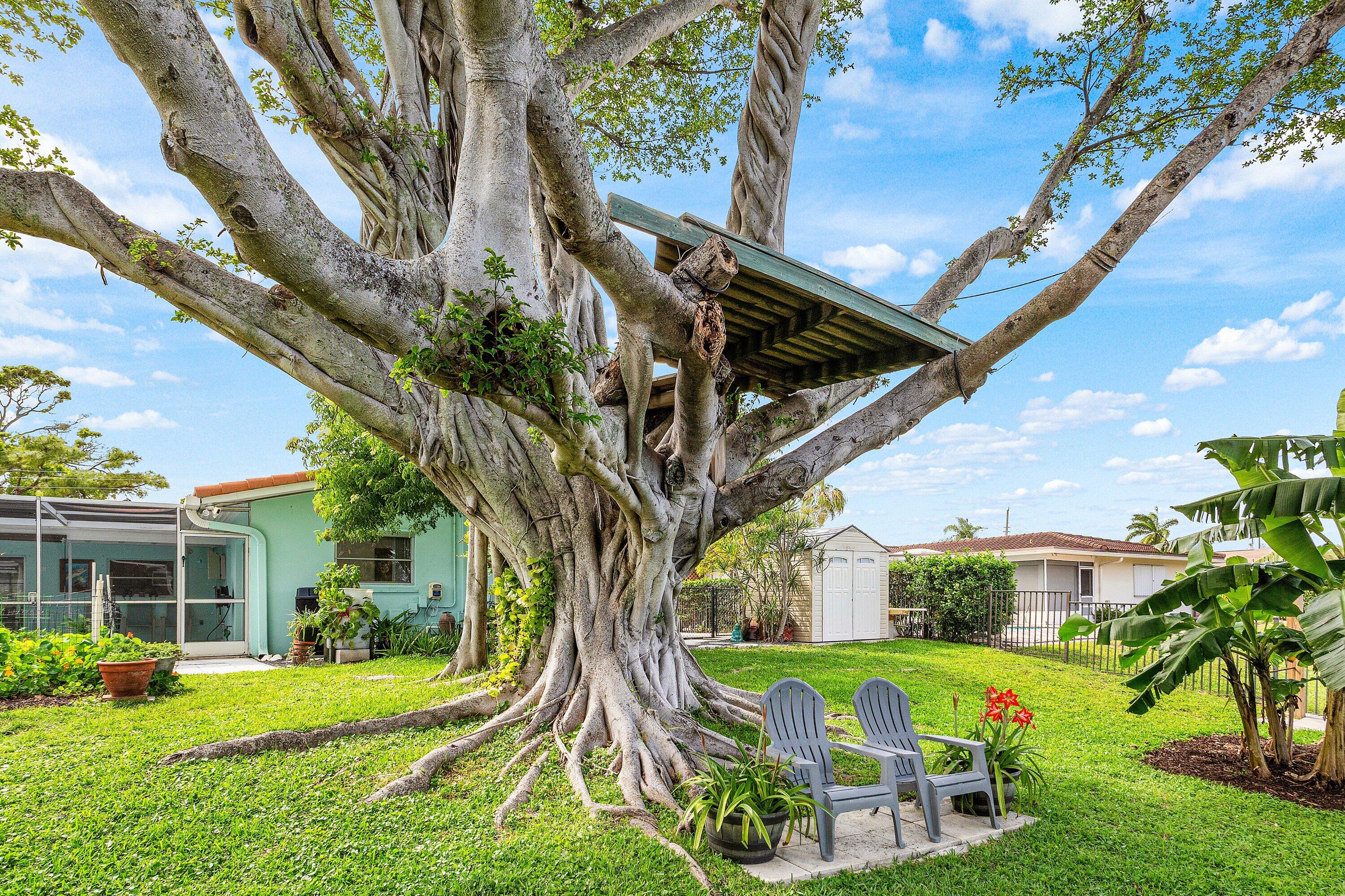 200 Northwest 11th Avenue Boca Raton, FL 33486 - Photo 28 of 32 Potential Tree House!