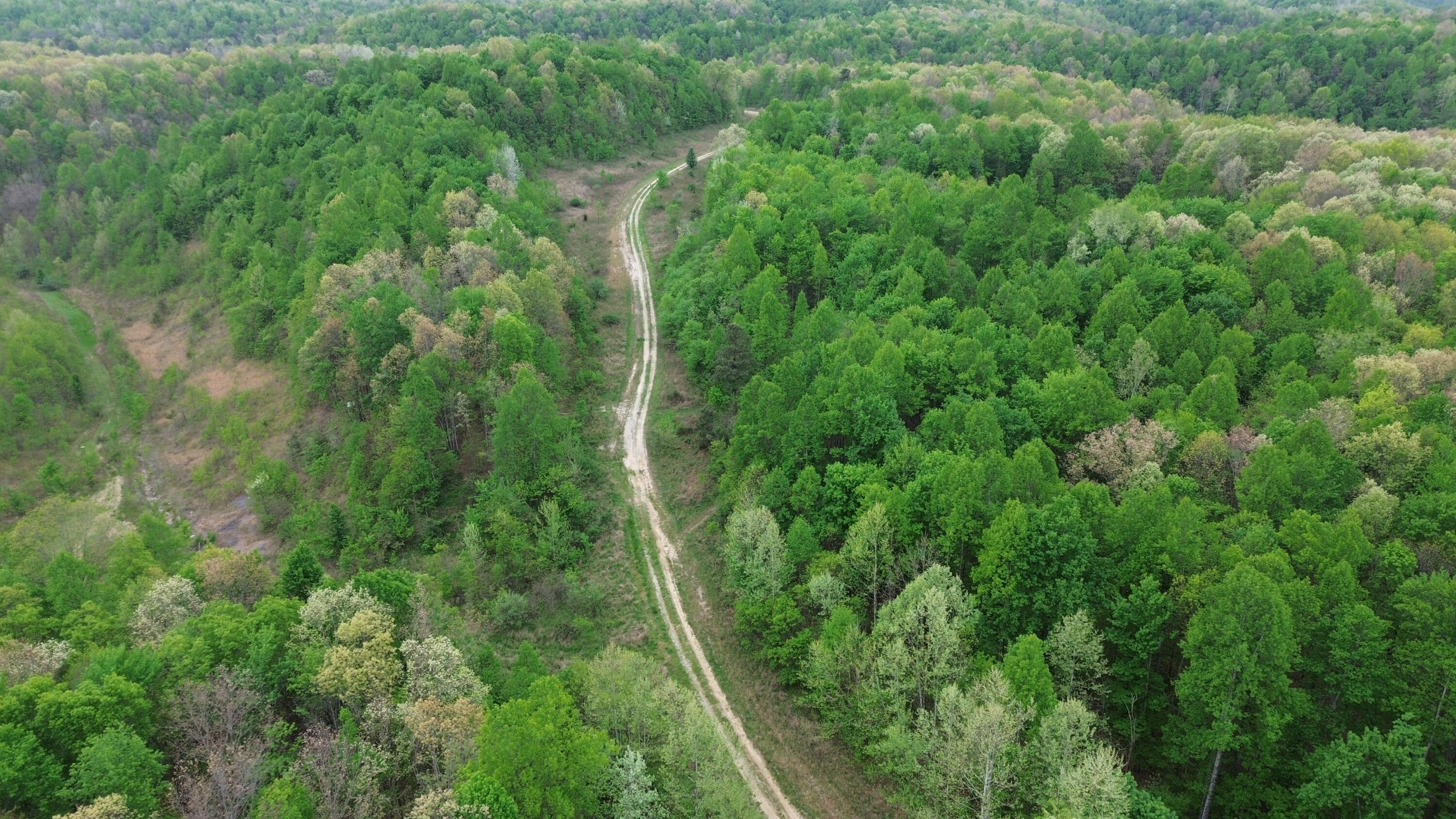 1271 A Tunnel Ridge Road Grayson, KY 41143 - Photo 120 of 134 Property Road