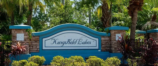a view of a street with a tree