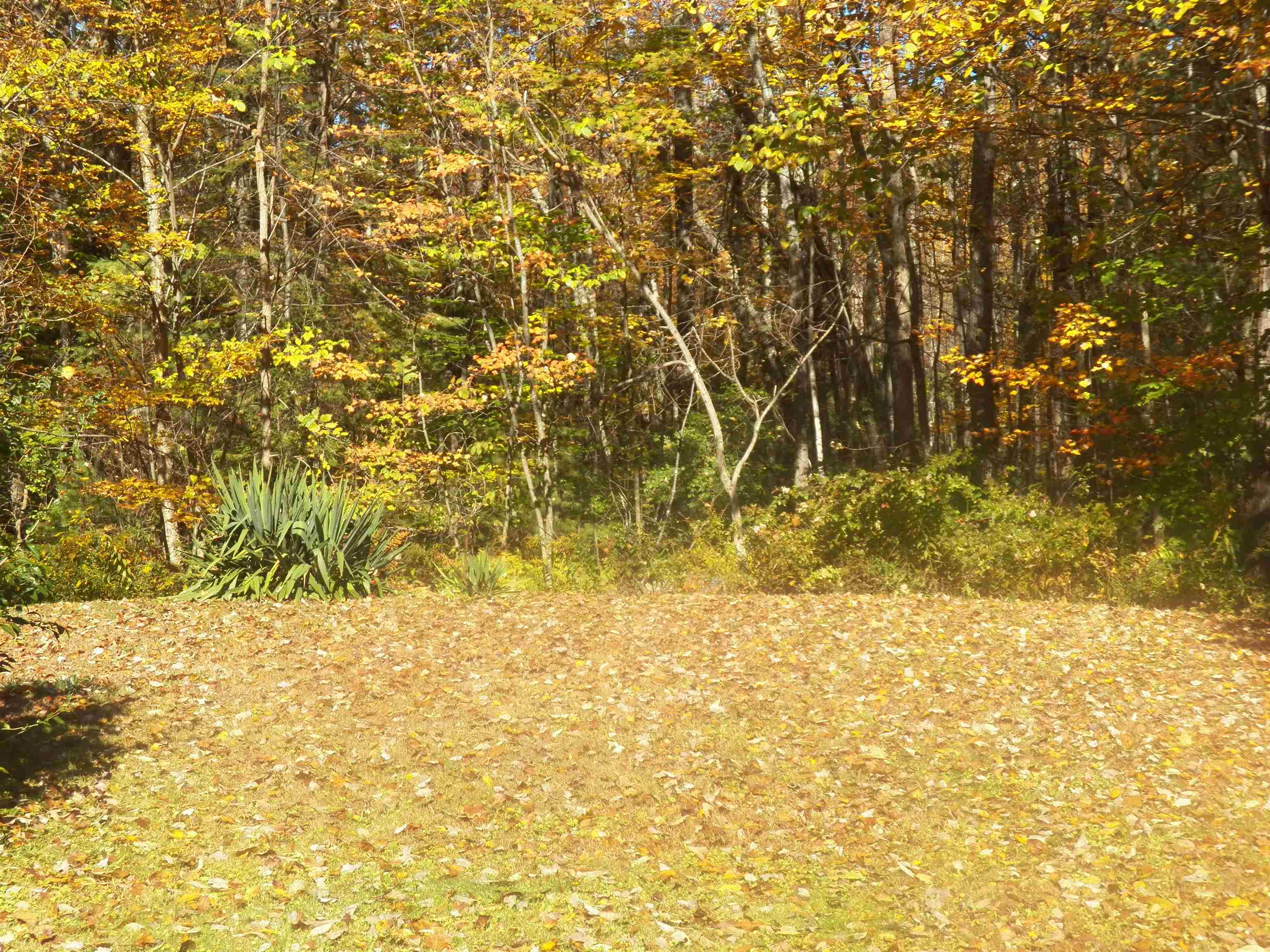 68 Mountain Road Bennington, NH 03442 - Photo 34 of 40