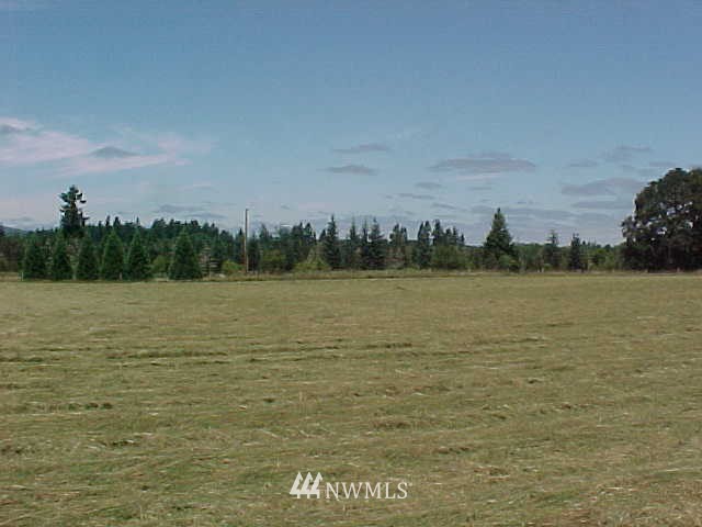 225 South Military Road Winlock, WA 98596 - Photo 6 of 15