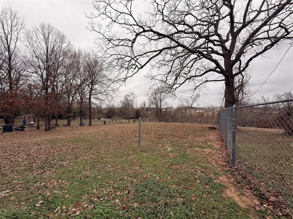 382 Broken Bow Quitman, TX 75783 - Photo 5 of 12 a view of a yard with a tree