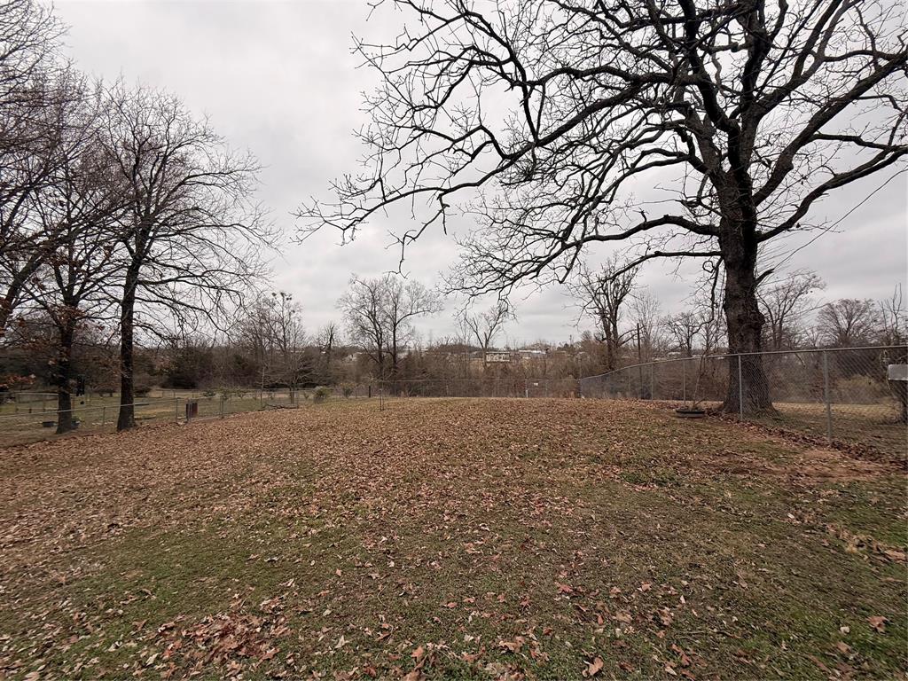 382 Broken Bow Quitman, TX 75783 - Photo 8 of 12 a view of dirt yard with a tree