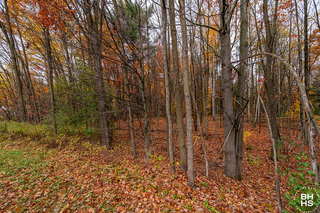 0 Rockwell Road Plattsburgh, NY 12901 - Photo 3 of 15 SchuylerFallsLot_Lot