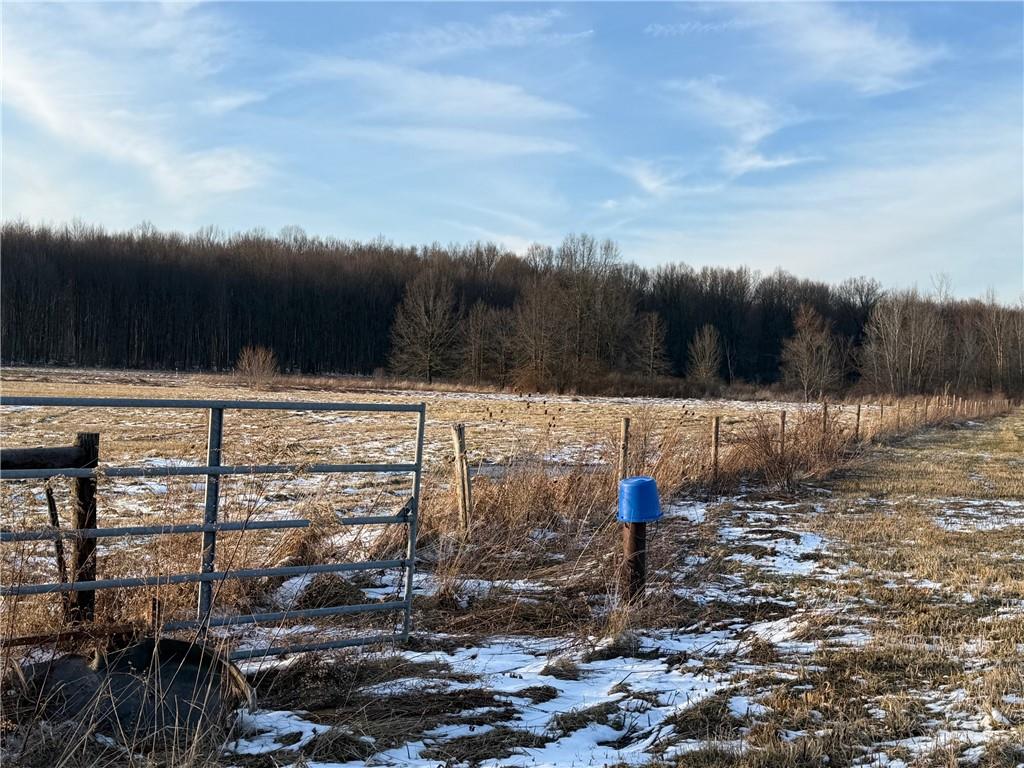 0 Borowicz Road New Wilmington, PA 16142 - Photo 5 of 8 a view of street