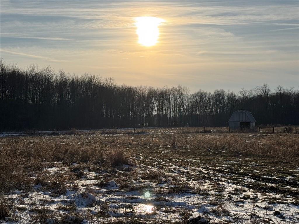 0 Borowicz Road New Wilmington, PA 16142 - Photo 7 of 8 a view of a backyard