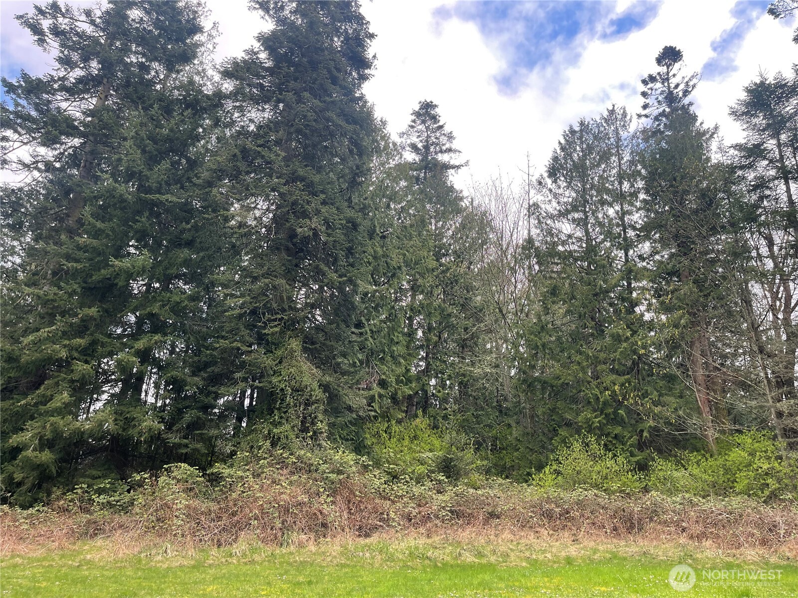 999 Old Ferry Road Port Hadlock, WA 98339 - Photo 7 of 8 Gallery Image 7