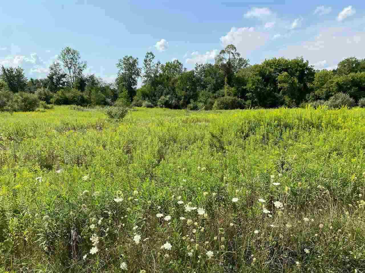 0 Coonhill Road, Unit LOT 65 Jackson, MI 49201 - Photo 3 of 4