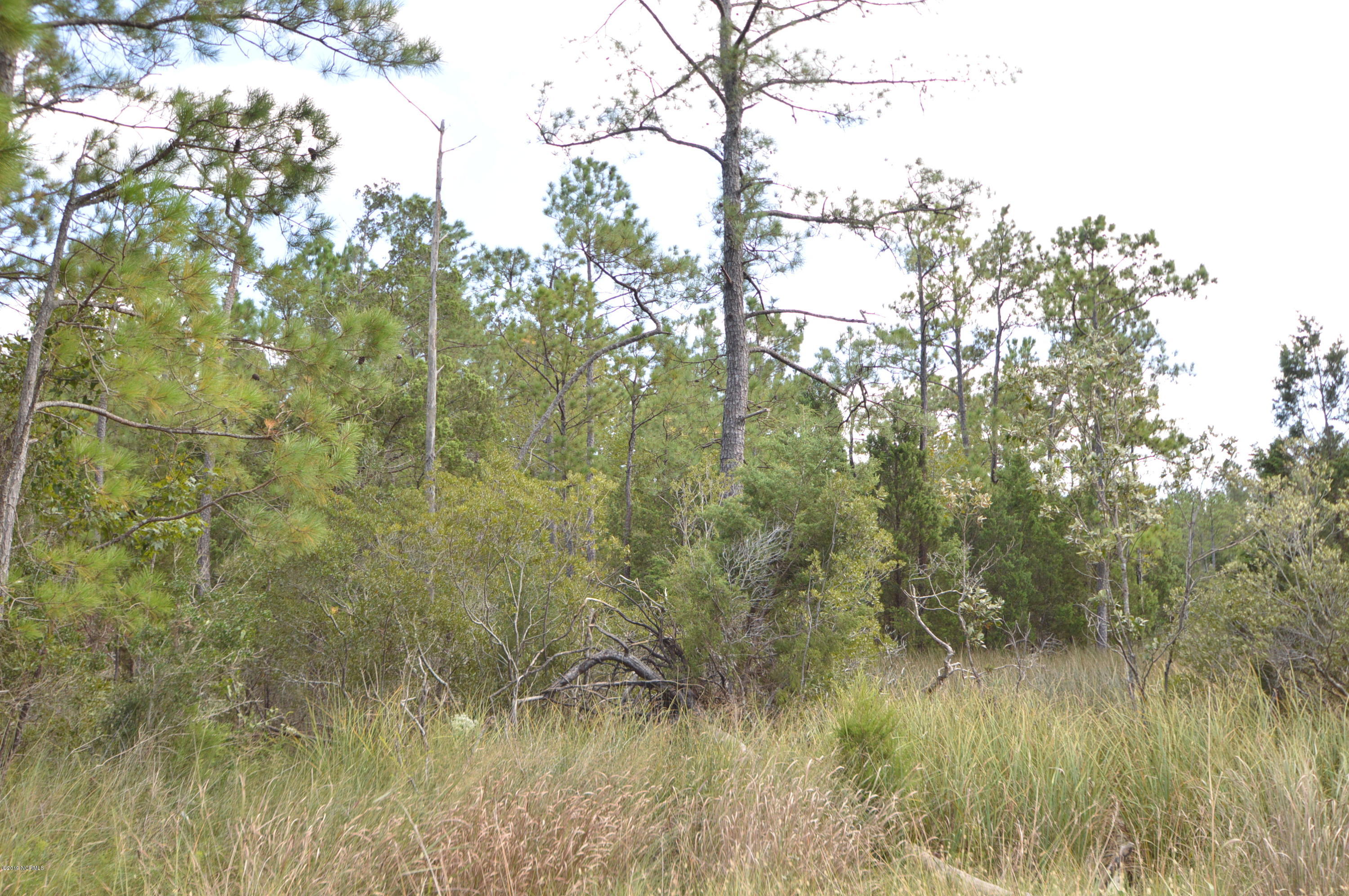 4 Pasture Point Road Merritt, NC 28556 - Photo 5 of 12 DSC_0735