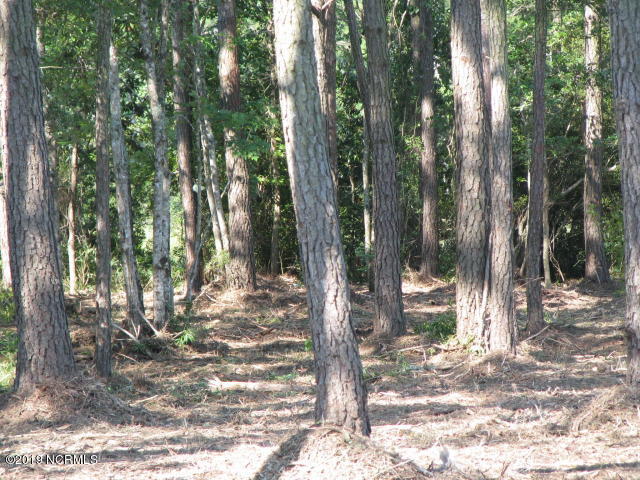 4 Pasture Point Road Merritt, NC 28556 - Photo 8 of 12 20160725135536948475000000-o