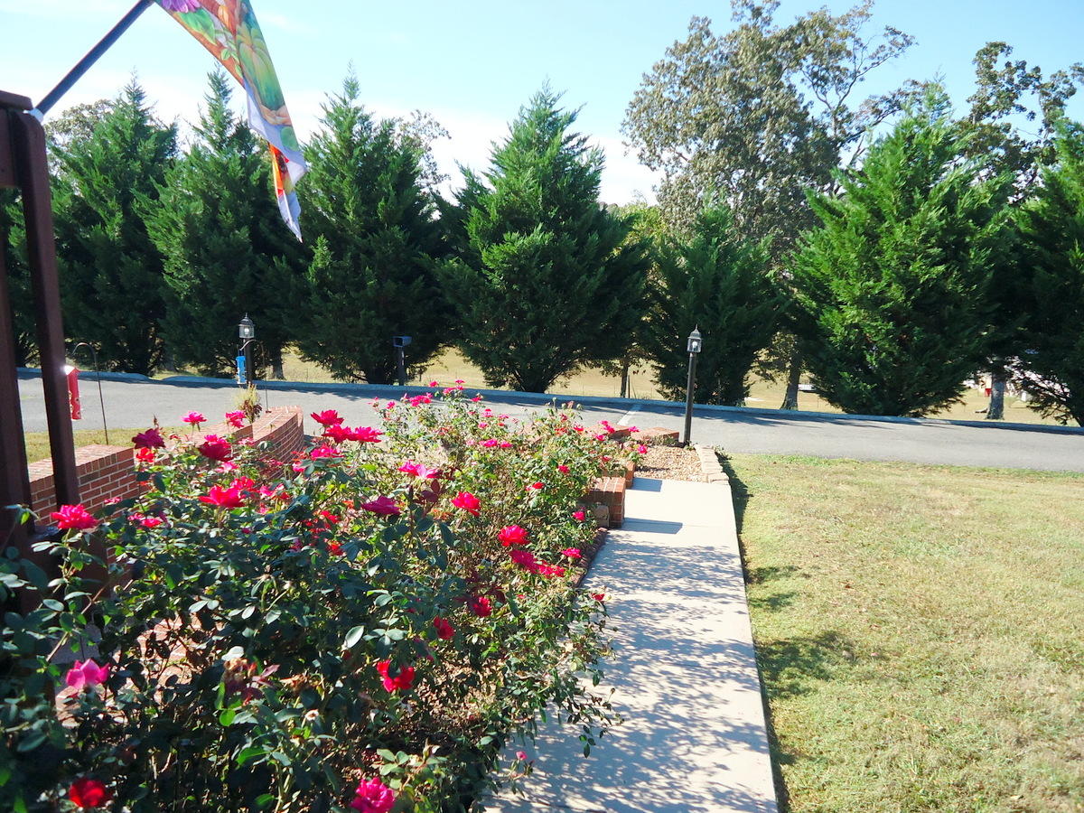 149 Lees Chapel Road Sweetwater, TN 37874 - Photo 6 of 40 06-DSC08735