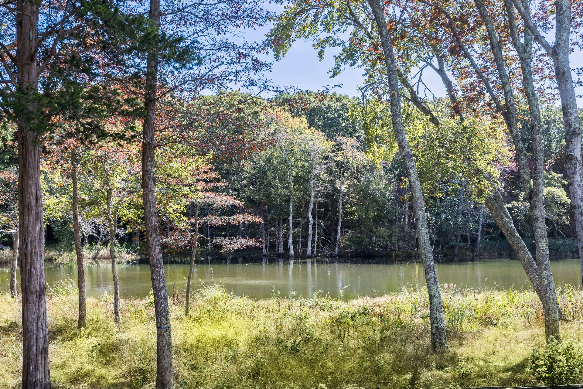 104 Georgica Close Road East Hampton, NY 11937 - Photo 43 of 46 a view of lake with trees
