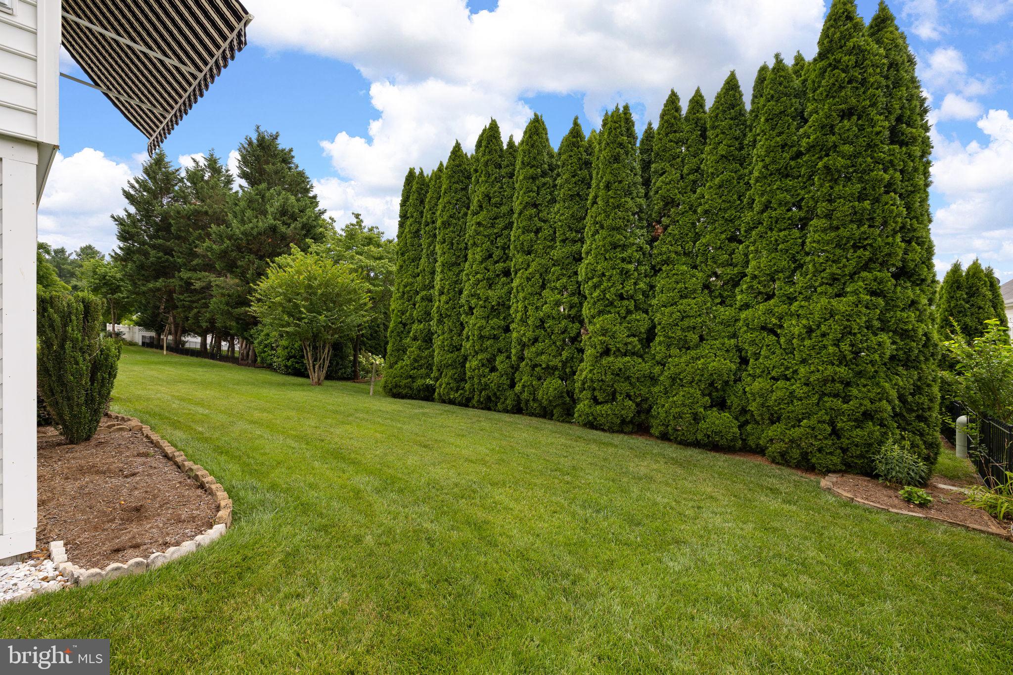621 Country Club Road Culpeper, VA 22701 - Photo 8 of 45 Lush green retreat with tall hedges.