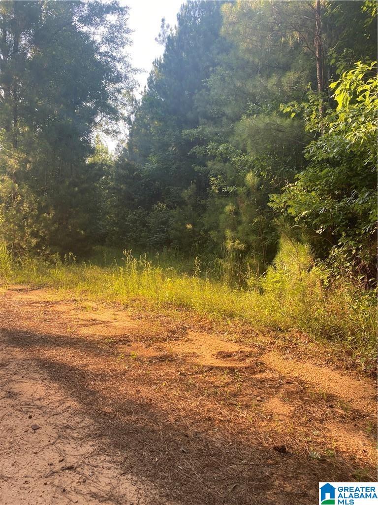 3025 Potato Patch Creek Road Marion, AL 36756 - Photo 21 of 24