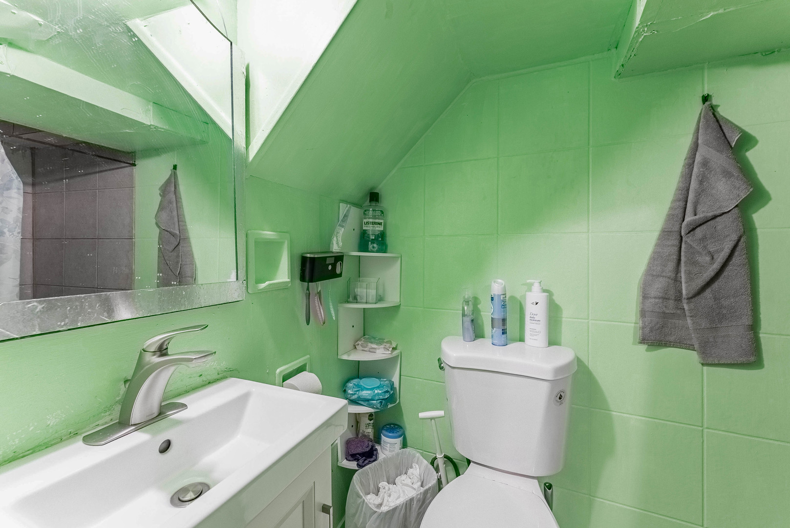 6933 South Michigan Avenue Chicago, IL 60637 - Photo 25 of 29 a bathroom with a sink mirror toilet and bathtub